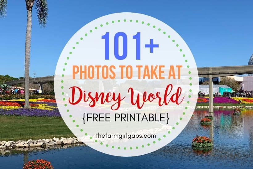 Disney Packing Lists - The Farm Girl Gabs®