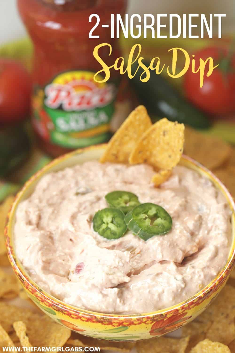 2-Ingredient Salsa Dip for Game Day - The Farm Girl Gabs®