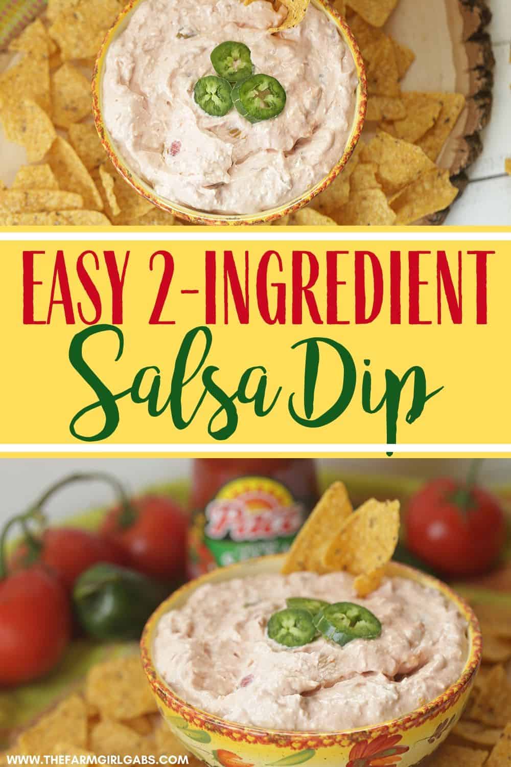 2-Ingredient Salsa Dip for Game Day - The Farm Girl Gabs®