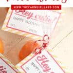 Peel some love this Valentine's Day. This printable Hey Cutie Printable Valentine for Kids is a fun and healthy Valentine treat for kids to share with friends. This Valentine's Day craft project included a free printable you can download and attach to a clementine. This is a great non-candy Valentine option for friends and classmates. #valentinesday #printablevalentines #valentinecraft