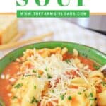 Warm yourself up with a bowl of this Instant Pot Chicken Parmesan Soup. This easy instant pot soup is a delicious comfort food recipe.