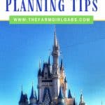 Practical Disney World Planning Tips