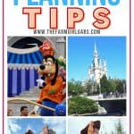Practical Disney World Planning Tips