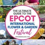 Spring is in the air at Walt Disney World. The Epcot International Flower And Garden Festival is in full bloom. Check out this Ultimate Guide To Epcot Flower And Garden Festival before you visit. Follow These Epcot Flower and Garden Festival Tips for a blooming fun time at Disney World. This guide will help you plan your Walt Disney World trip too.