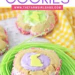 These homemade Easter Thumbprint Cookies are a sure sign of spring. Bake a batch of these easy colorful holiday cookies to share today.