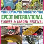 Spring is in the air at Walt Disney World. The Epcot International Flower And Garden Festival is in full bloom. Check out this Ultimate Guide To Epcot Flower And Garden Festival before you visit. Follow These Epcot Flower and Garden Festival Tips for a blooming fun time at Disney World. This guide will help you plan your Walt Disney World trip too.