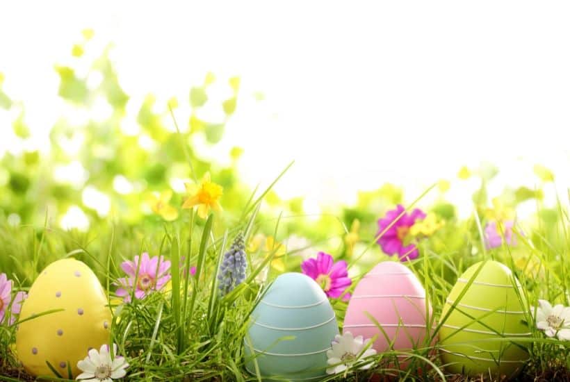 Fun Easter Cupcakes To Make With Kids