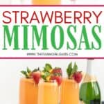 Mimosa Cocktails aren't just for brunch. These Farm Fresh Strawberry Mimosas are great to serve for any party or occasion. This easy cocktail is perfect when strawberries are at their peak.