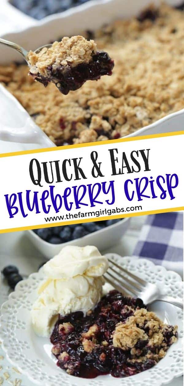 Quick & Easy Blueberry Crisp - The Farm Girl Gabs®