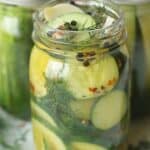 Easy Refrigerator Pickles Recipe