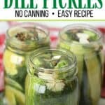 This Easy Homemade Refrigerator Dill Pickles recipe packs a lot of crunch and zesty flavor. There is no canning involved in this easy refrigerator pickle recipe. This recipe is a great way to use those cucumbers you just picked from your garden or bought at your farmers' market. These refrigerator pickles are cucumbers that are pickled in a homemade brine with garlic, dill and spices.