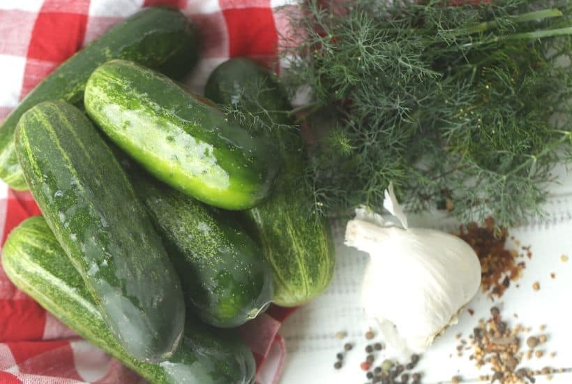 This Easy Homemade Refrigerator Dill Pickles recipe packs a lot of crunch and zesty flavor. There is no canning involved in this easy refrigerator pickle recipe. This recipe is a great way to use those cucumbers you just picked from your garden or bought at your farmers' market. These refrigerator pickles are cucumbers that are pickled in a homemade brine with garlic, dill and spices.