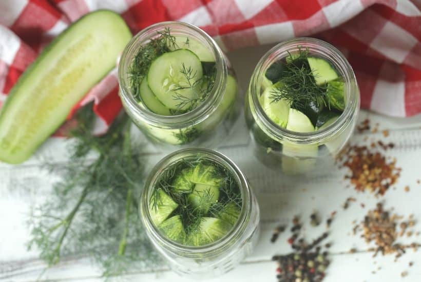 homemade dill pickles