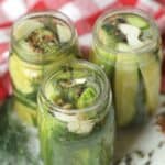 This Easy Homemade Refrigerator Dill Pickles recipe packs a lot of crunch and zesty flavor. There is no canning involved in this easy refrigerator pickle recipe. This recipe is a great way to use those cucumbers you just picked from your garden or bought at your farmers' market. These refrigerator pickles are cucumbers that are pickled in a homemade brine with garlic, dill and spices.