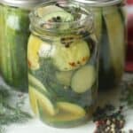 This Easy Homemade Refrigerator Dill Pickles recipe packs a lot of crunch and zesty flavor. There is no canning involved in this easy refrigerator pickle recipe. This recipe is a great way to use those cucumbers you just picked from your garden or bought at your farmers' market. These refrigerator pickles are cucumbers that are pickled in a homemade brine with garlic, dill and spices.