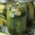 This Easy Homemade Refrigerator Dill Pickles recipe packs a lot of crunch and zesty flavor. There is no canning involved in this easy refrigerator pickle recipe. This recipe is a great way to use those cucumbers you just picked from your garden or bought at your farmers' market. These refrigerator pickles are cucumbers that are pickled in a homemade brine with garlic, dill and spices.