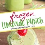 Cool off with a glass of this refreshing Frozen Limeade Punch. This is an easy frozen drink recipe that makes a great party punch too. This non-alcoholic drink recipe is the perfect mocktail for kids and adults. It is a big batch recipe so it is a perfect party drink. This limeade slushie recipe is a winner.