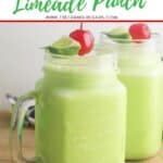 Cool off with a glass of this refreshing Frozen Limeade Punch. This is an easy frozen drink recipe that makes a great party punch too. This non-alcoholic drink recipe is the perfect mocktail for kids and adults. It is a big batch recipe so it is a perfect party drink. This limeade slushie recipe is a winner.