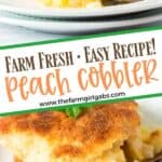 Peach cobbler is by far the best summer dessert recipe. Made with farm-fresh peaches, this is the BEST Peach Cobbler Recipe. Make this delicious peach dessert recipe for family and friends. They will be asking for more.