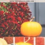 Make your home a show-stopper this fall with these Outdoor Fall Decorating Ideas! Fun ways to decorate your home this fall. These budget-friendly decorating tips will make your home look like a show stopper this fall.