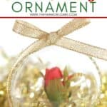 This simple DIY Beauty And The Beast Enchanted Rose Ornament is inspired by the classic Disney Beauty And The Beast movie. This is a fun Christmas craft for Disney fans of all ages. Disney Ornaments are fun to make at home. This DIY Disney ornament is an easy Disney Craft for kids. You kids will love a Disney Christmas and making this DIY Beauty An The Beast Enchanted Rose Ornament.