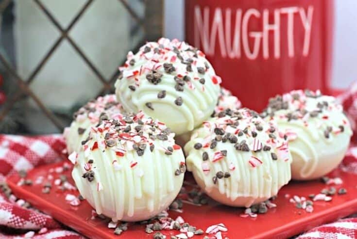 https://thefarmgirlgabs.com/wp-content/uploads/2020/12/Peppermint-Mocha-Hot-Cocoa-Bombs-feature-1-735x493.jpg