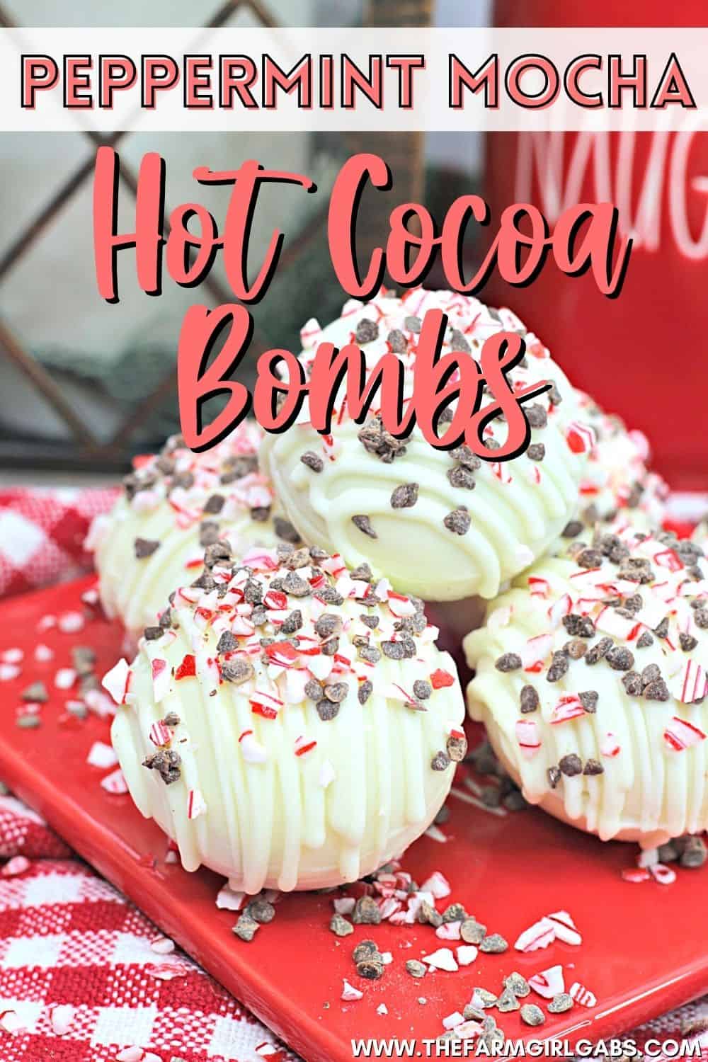 Peppermint Mocha Hot Cocoa Bombs - The Farm Girl Gabs®