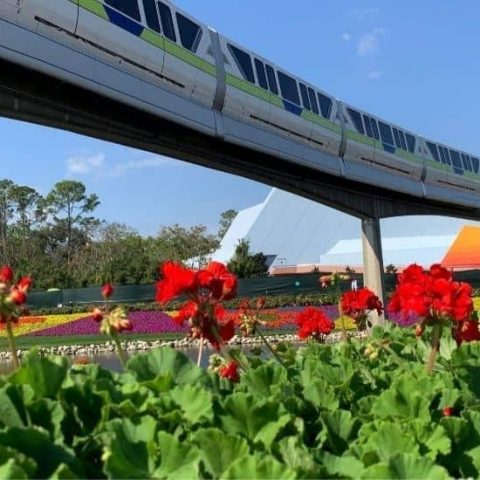 Disney Monorail