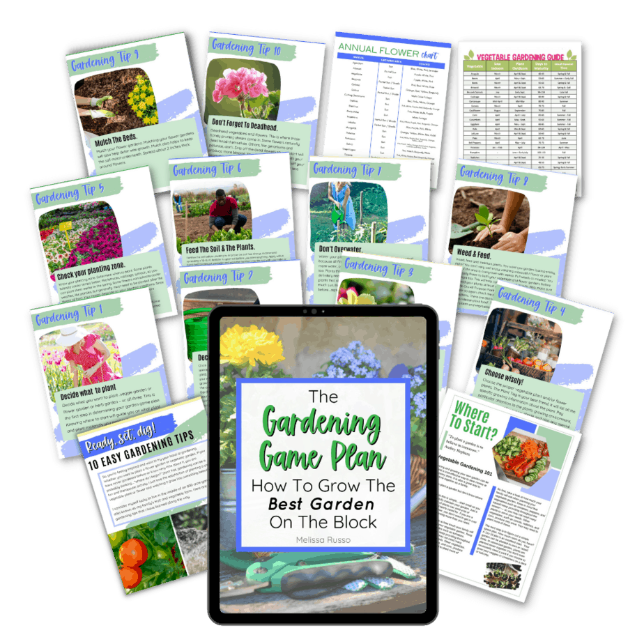 Gardening for beginners ebook