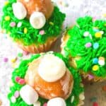 Hippity Hoppity, these Easy Bunny Butt Cupcakes are the perfect Easter dessert. This cute Easter Cupcake recipe is easy to decorate and fun to eat. This homemade cupcake recipe is perfect for Easter. Make these adorable Easter cupcakes that use a doughnut hole as the bunny's bottom. The kids will have a blast helping with these Easter Cupcakes!