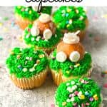 Hippity Hoppity, these Easy Bunny Butt Cupcakes are the perfect Easter dessert. This cute Easter Cupcake recipe is easy to decorate and fun to eat. This homemade cupcake recipe is perfect for Easter. Make these adorable Easter cupcakes that use a doughnut hole as the bunny's bottom. The kids will have a blast helping with these Easter Cupcakes!