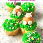 Hippity Hoppity, these Easy Bunny Butt Cupcakes are the perfect Easter dessert. This cute Easter Cupcake recipe is easy to decorate and fun to eat. This homemade cupcake recipe is perfect for Easter. Make these adorable Easter cupcakes that use a doughnut hole as the bunny's bottom. The kids will have a blast helping with these Easter Cupcakes!