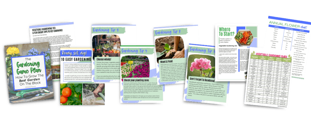 gardening game plan ebook images