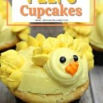Peeps Easter Chicks Cupcakes Pin