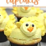 Peeps Cupcakes are a super easy and festive Easter cupcake that is perfect for any Easter Party! Homemade cupcakes and homemade frosting is all you need to make these Peeps cupcakes! Can these Easter Chick Cupcakes be any cuter? This easy cupcake recipe is the perfect spring dessert recipe to celebrate spring, Easter and warmer weather. Learn how to decorate these Easter Chicks cupcakes. This is a great recipe to make with your kids, they will love these cutest chick cupcakes!