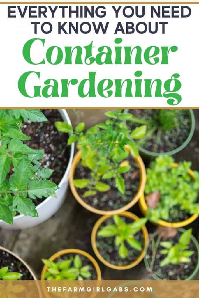 container gardening tips and tricks