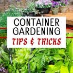 container gardening