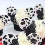 These Disney Cupcakes are inspired by the upcoming Disney movie Cruella. Make a batch of these Cruella de Vil cupcakes and celebrate the wickedness. This easy cupcake recipe is perfect for Disney fans. I love making Disney recipes at home. This Disney cupcake recipe is easy to make and easy to decorate. Celebrate your inner Disney Villain and whip up a batch of these Cruella cupcakes. These cupcakes are perfect for a 101 Dalmatians Party.