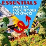 Disney Packing Tips - What to pack in your Disney backpack