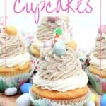 These Easter Egg Malt Cupcakes are a fun Easter cupcake recipe the whole family will enjoy. These cupcakes are easy to decorate and made with the classic malted easter eggs (or Whoppers).