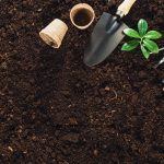 Ready to dig in and start gardening? Follow these beginner gardening tips for How To Prepare A New Garden Bed. Learn how to grow the best garden on the block. Whether you are planting a vegetable garden or flower garden, read these expert gardening tips from a pro that will help you plant your best backyard garden ever!