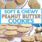 Why buy cookies at the store when you can make fresh ones at home? Follow this Easy Peanut Butter Cookies recipe to make sweet and tasty cookies from scratch.