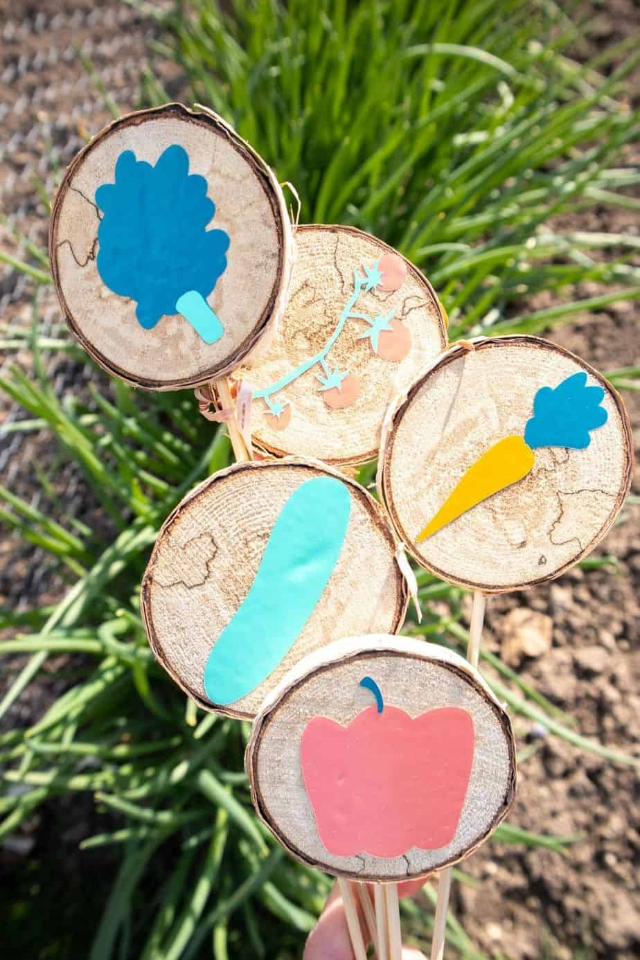 Decorate your garden using DIY Wood Slice Garden Markers with Cricut Joy. You can label your plants, including flowers, fruits, and vegetables using these homemade markers. This easy gardening craft will add beauty to your garden. This is a Cricut craft so you can use your Cricut Joy to finish.