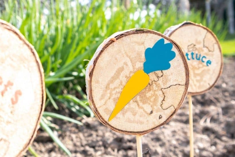 Decorate your garden using DIY Wood Slice Garden Markers with Cricut Joy. You can label your plants, including flowers, fruits, and vegetables using these homemade markers.