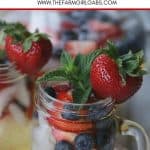 Mocktail Sangria drink recipe for kids