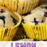 It's blueberry season on the farm! Sweet farm-fresh blueberries and tart lemons pair up for these delicious Lemon Blueberry Muffins. This easy recipe is perfect for breakfast or dessert. This is the best breakfast to make ahead and grab on a busy morning. This easy muffin recipe is made with sour cream and makes moist, homemade bakery-style muffins.