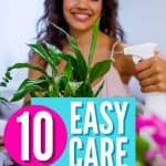 While some houseplants take a lot of time and upkeep, there are a variety of easy-care houseplants that are fairly maintenance-free. Do you have any of these low maintenance houseplants in your home?