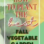 Fall is still a perfect time to enjoy some vegetables from your garden. Here are five easy fall vegetables to grow from seed. Learn how to grow a fall vegetable garden. Follow these easy fall gardening tips for the best vegetables to plant in a fall garden. Download a free gardening book too.