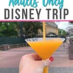 An adult-only Walt Disney World trip is something everyone should do at least once. This guide, Disney World for Adults: a Kid-Free Guide to Disney Fun, will help you plan a magical kid-free Disney World trip.