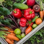 How To Grow A Fall Vegetable Garden